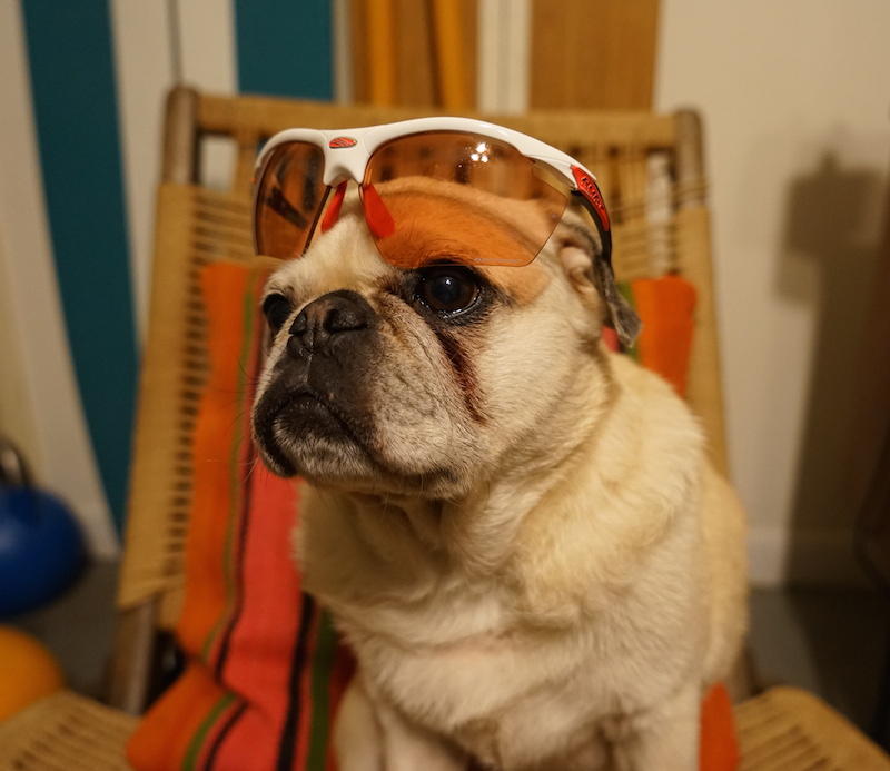 Olaf-Pug-Agon-Rudy-Project-2