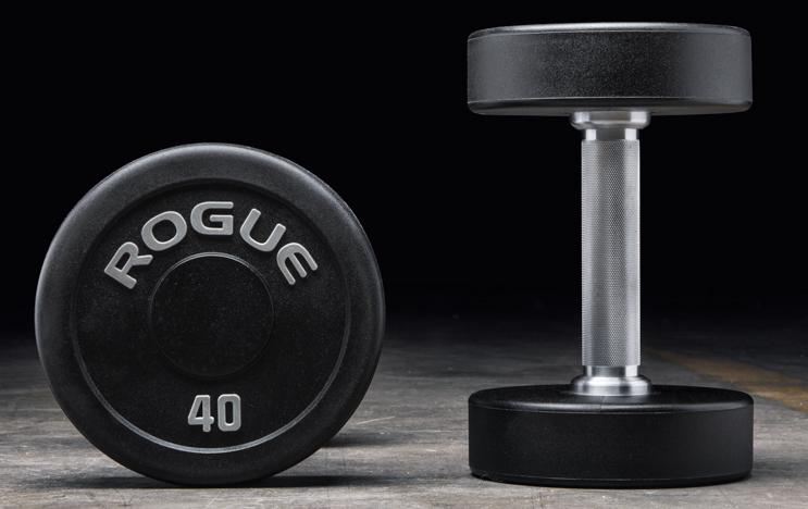 Rogue Fitness 40 pound Urethane Dumbbell pair