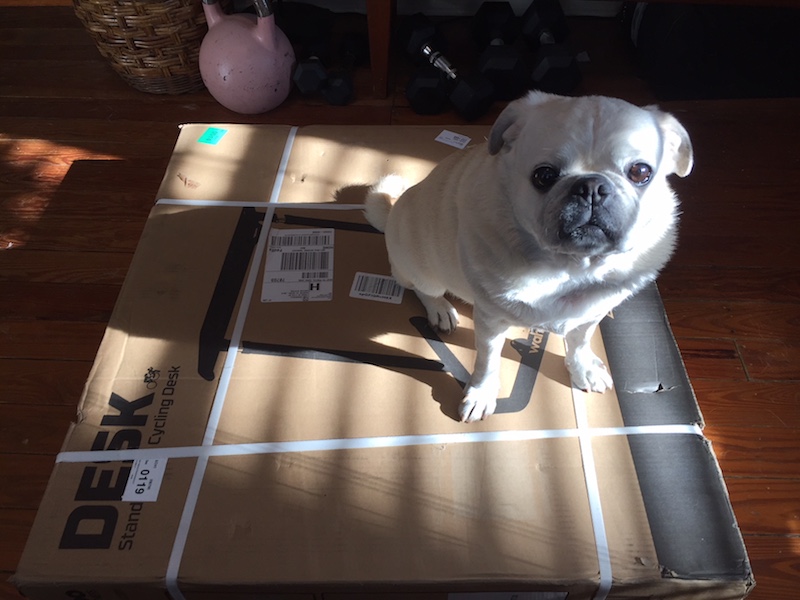 Wahoo Fitness Bike Desk - Olaf